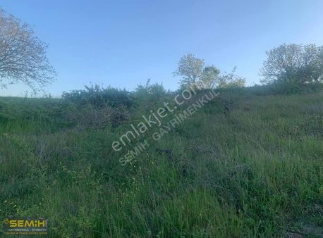 Semih'den Yazılıda Yol Su Mevçut 650 M2 Hobi Bahçesi