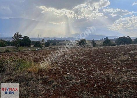 Bursa Şehıtler Mahallesınde Satılık Tek Tapu Tarla