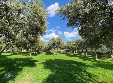 Urla İskele'de Bölgenin En Büyük Ve En Özel Villası Satışta