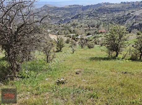 Gaffarlı'da Kaçırılmayacak Fırsat! Tek Tapulu, Manzaralı Bağ Yer