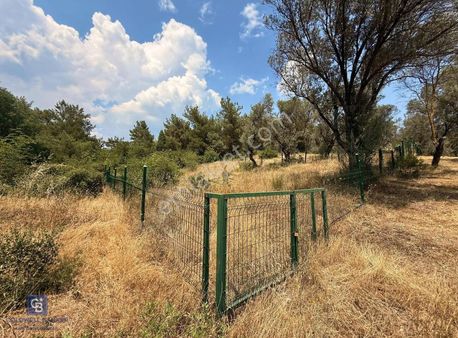Bornova Yakaköy Villalar Bölgesi'ne Yakın 307 M2 Satılık Tarla