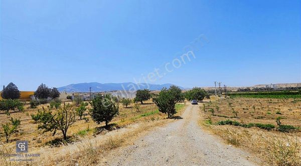 Kemalpaşa Bağyurdu'nda Yola Yakın Tarımsal Sanayi İmarlı Arsa