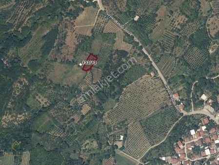 Bursa Kestel Babasultan Köyü 1.028 M2 Satılık Bahçe