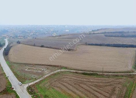 Atlas Gayrimenkul'den Asfalt Cephe 15.375 M2 Tarla