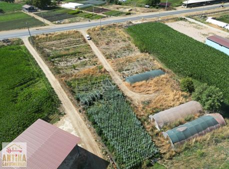 Antika Gayrimenkulden Ödemiş'de Ana Yola Sıfır 3270 M2 Tarla