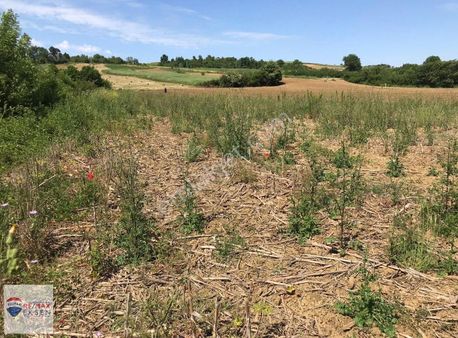 Kocaeli Kandıra Lokmanlıda Adapazarı Yoluna Yakın 2.850m2 Arsa