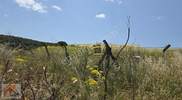 Yalova Termal Akköy De Satılık İmarlı Arsa