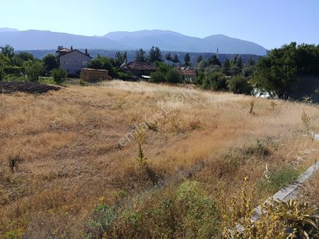 Denizli Acıpayam Kelekçi Satılık Arsa