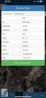 Seferihisar Orhanlı Köyü'nde Yatırıma Uygun 2.250 M² Zeytinlik