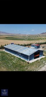 Sincan Temelli Girmeç Nitelikli Tarla