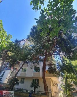 Dragos Sahilde Satilik 3+1daıre