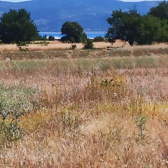 Atabey'den Burdur Yeşilova Salda'da Satılık Tarla