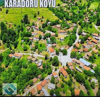 Çanakkale Yenice De Tek Tapulu Müstakil Satılık Tarla Fırsat