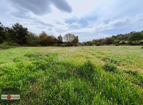 Ortaköyde Alırken Kazandıran Tarla Yatırımın Tam Zamanı!
