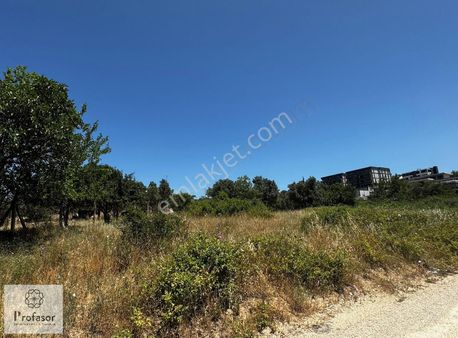 Profasor *dan Nilüfer Gümüştepe' De Satılık 3036 M2 Tarla