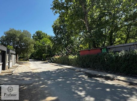 Profasor* Dan Satılık Gümüştepe Misi Köyünde 1507m2 İmarlı Arsa