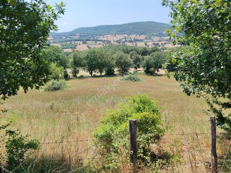 6.200 M2 Yatırımlık Tarla Bağ Bahçe Hobi Bahçesi Gönen Fındıklı