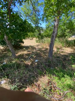 Güven Emlaktan Canik Hacıismailde Şehir Hastanesine Yakın Deniz Ve Şehir Manzaralı Satılık Arsa