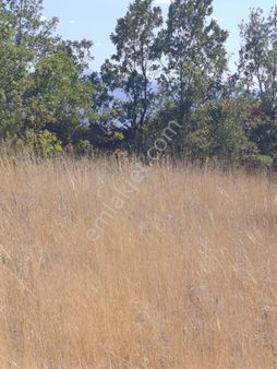 Tek Tapu Uygun Fıyat