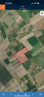 Ayvalık Altınova’da 42 Dönüm Tarla