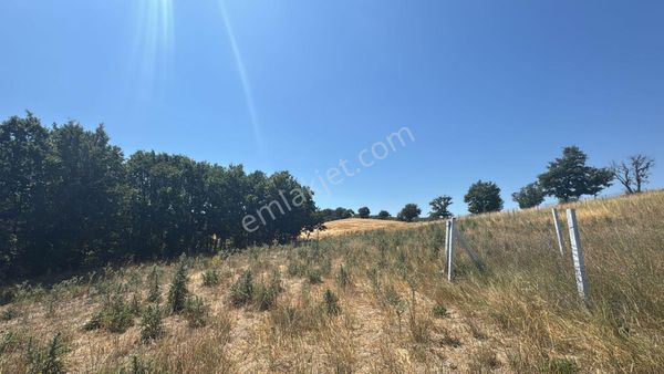 Tekirdağ Saray Büyükyoncalı Satılık 250m2 İmarlı Fırsat Arsa