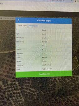 Gemlik Umurbey'de 1.113.71 M2 Satılık Zeytinlik