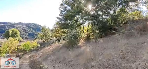 Balıkesir Sındırgı'da Köy İçi Alanına 20 Metre Mesafede Fırsat