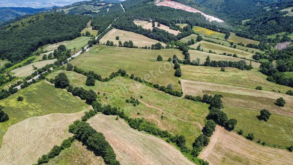 Lion Emlak'tan Gönen Sebepli Mahallesinde 19.709m² Arazimiz Satılıktır.