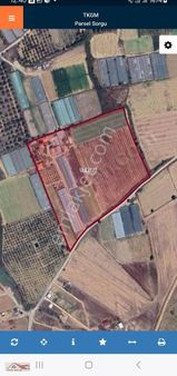 Yatırımlık Çiftlik İçin Uygun İçinde Evler Ve Seralar Vardır.