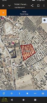 Kalemli De Satılık Zeytinlik