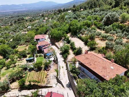 Aydın Karacasu Subaşı Yalasında Satılık