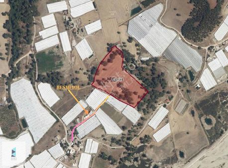 Dirgenler Mahallesinde Tek Tapu Olarak 28 Dönüm Satılık Arazi