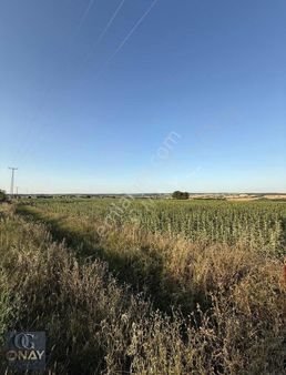 Silivri Beyciler Asfalt Cephe Yatırıma Uygun 14614 M2 Tarla