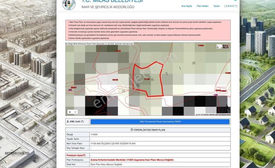Muğla, Milas, Sarıkaya Mahallesinde Satılık Zeytinlik
