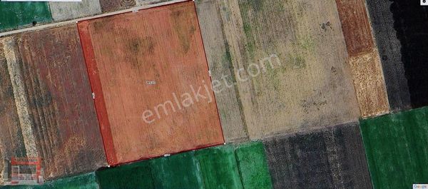 Gevreklide 27.147 M2 Toplulaştırılmış Satılık Tarla