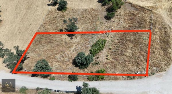 Menderes Çakallar'da 974 M2 Tapudan Satışlı Köşe Bahçe