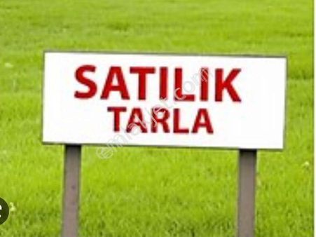 Denizli Beyağaç Pınarönü 7.500 M2 Tarla