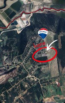 Didim Akyeniköy’de 300 M² Villa Arsası – Daha Ucuzu Yok!