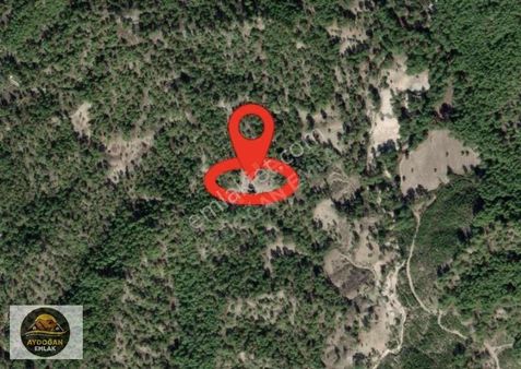 Aydoğan Emlak'tan Finike De Satılık 7.897 M2 Tarla - Tek Tapu