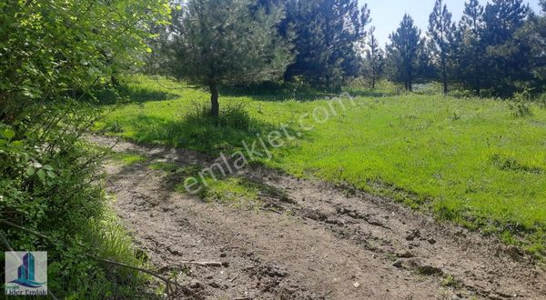 Bursa İnegöl Hocaköy Mh 2800 M2 Satılık Tarla