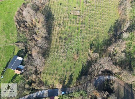 Esentepe Mah'de Satılık 3.740 M² Villa İmarlı Arsa