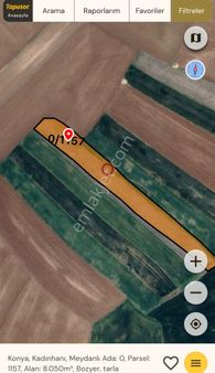 Satılık Tarım Arazisi – Konya Kadınhanı Meydanlı Köyü