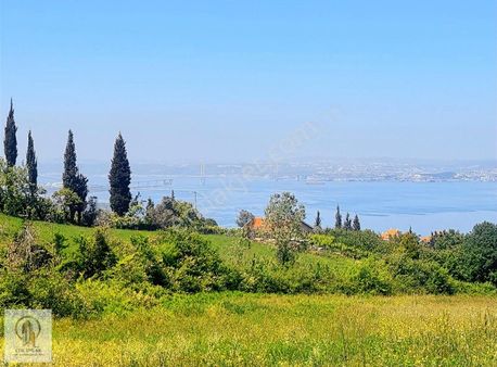 Mükemmel Deniz Ve Köprü Manzaralı Doğa İle İç İçe Satılık Tarla