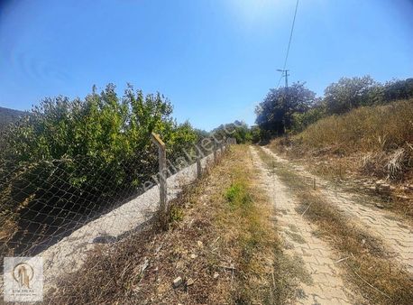 Doğa İçinde 1.660m2 Arsa Müstakil 150 M2 2 Katlı Daire