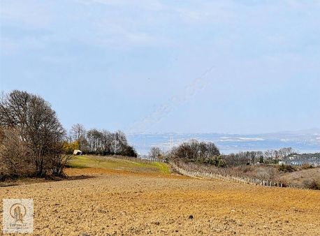 Etik Emlak Gayrimenkulden Satılık Deniz Ve Doğa Manzaralı Tarla
