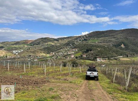 Etik Emlak Gayrimenkulden Satılık Tarla