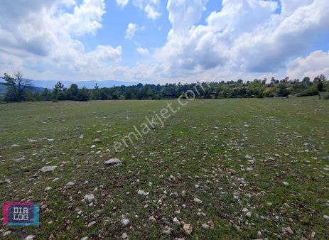 Dıalog İdealden Keles Kıranışıklar'da Satılık Fırsat Tarla