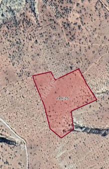 Duru Emlak Özgür Duru, Dan