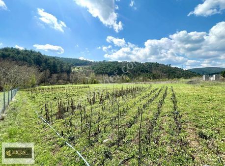 Fiyat Düştü!! Ana Asfalta 50 Metre Cephe Satılık 7274 M2 Arazi