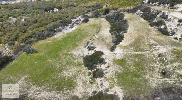 Değirmenciden Tekke Köyünde 19897m2 Bağ Bahçe Müstakil Tapulu